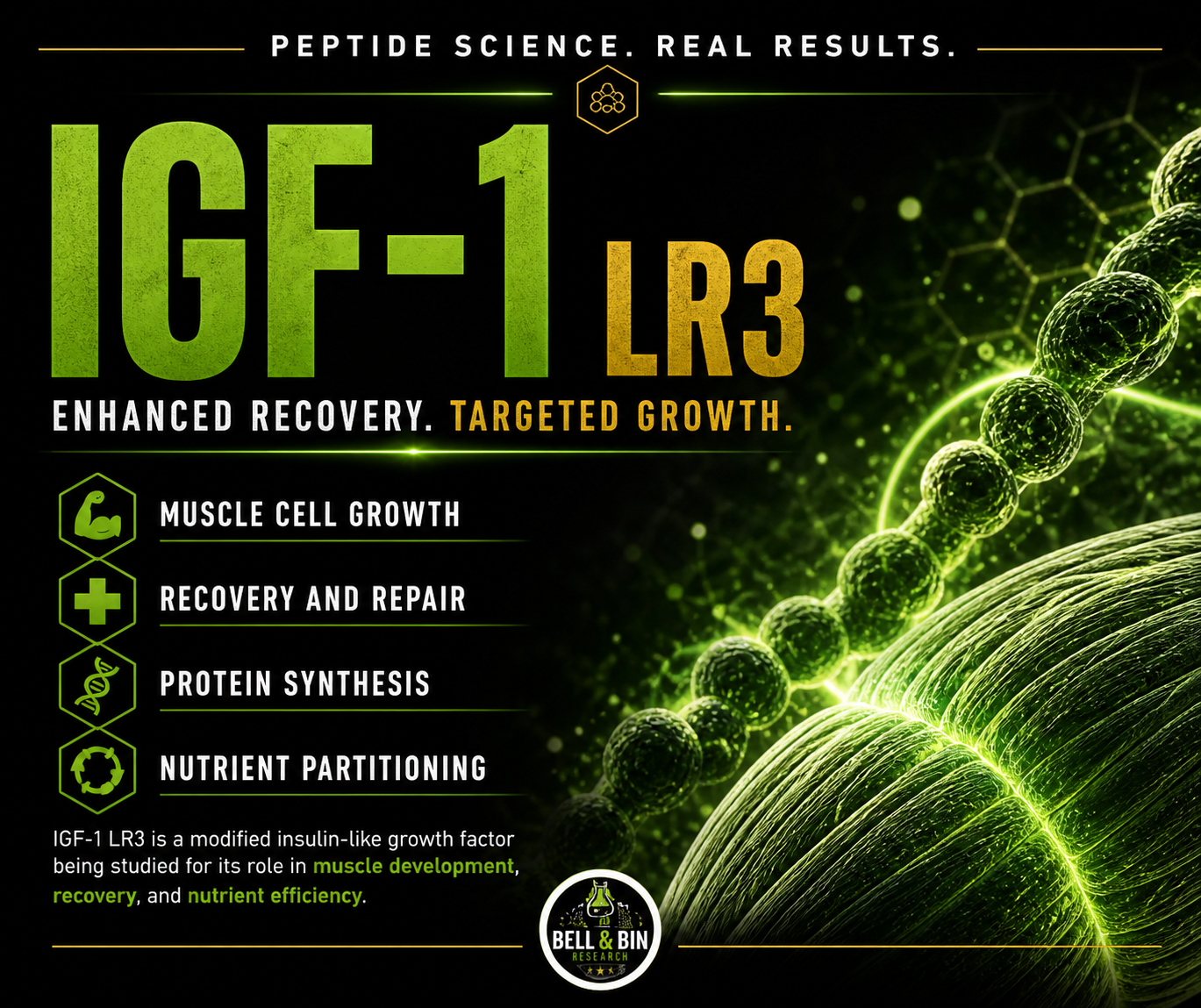 IGF-1 LR3