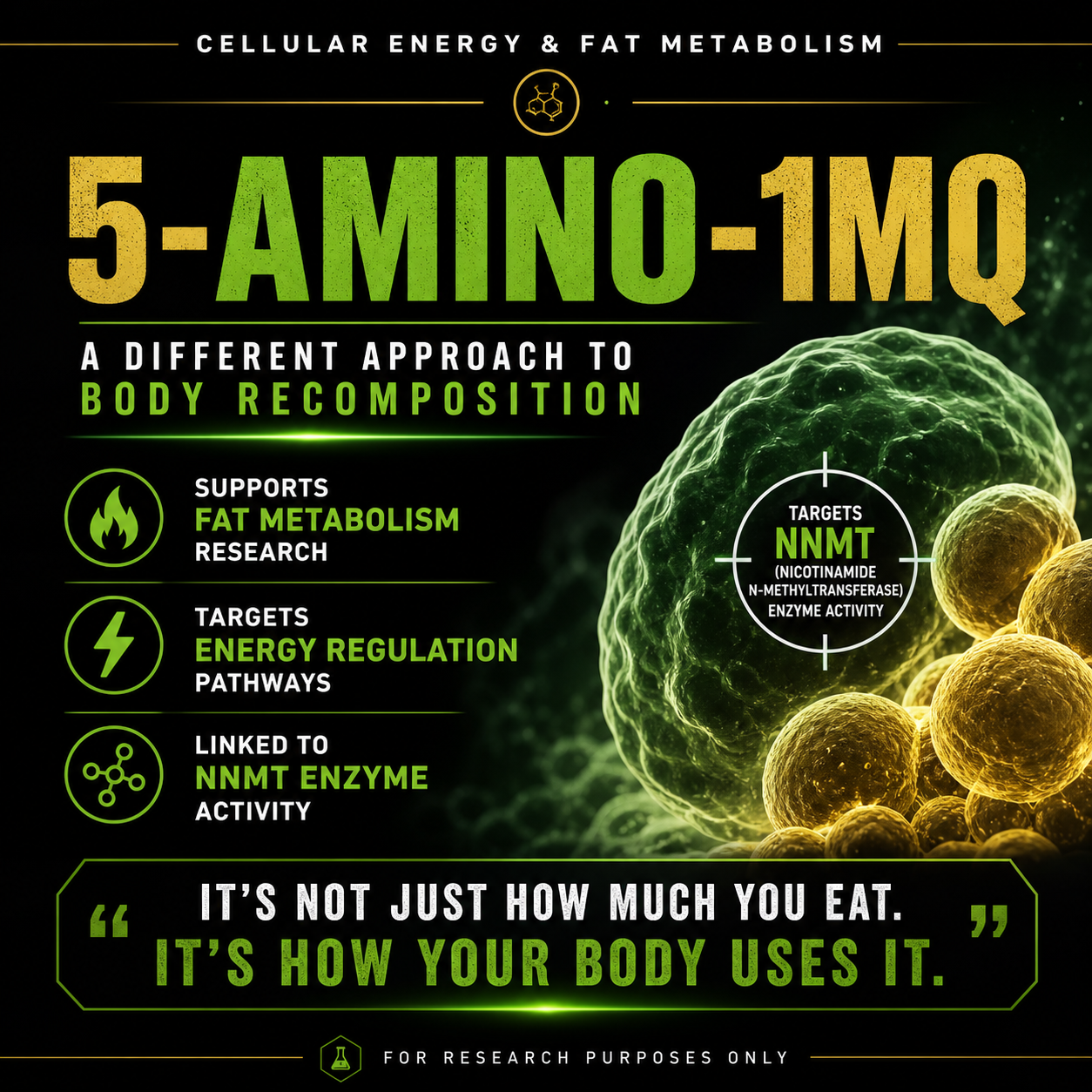 5 Amino 1MQ 50mg